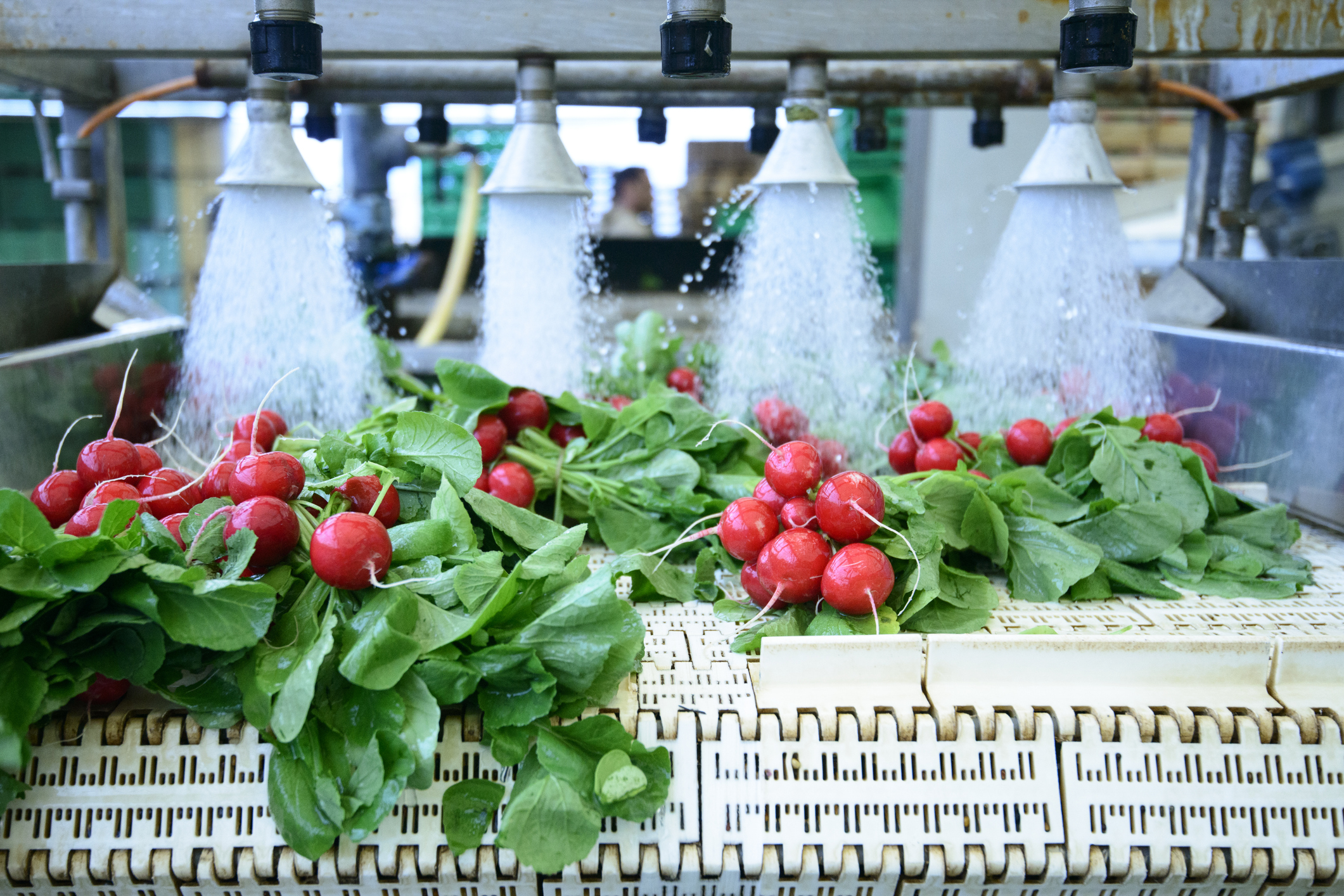 Mangueras industriales para el lavado de alimentos