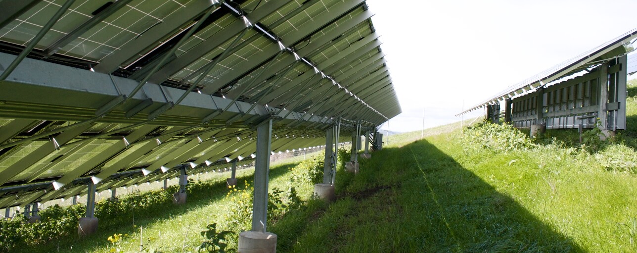 Ownership of new solar projects