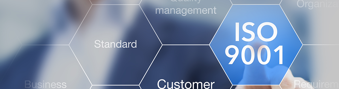 Auditor Interno ISO 9001:2015