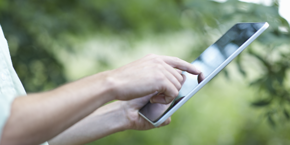 Auditorias ambientais 1000x500