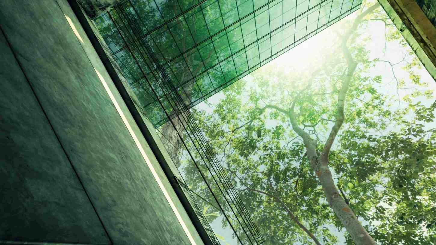 Certificación ISO 50001: Sistema de gestión energética