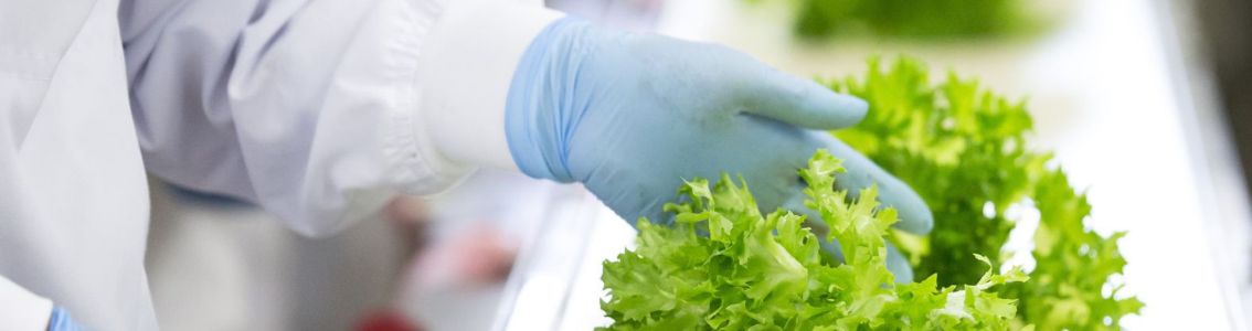 ¿Qué es un sistema de gestión de la seguridad alimentaria?