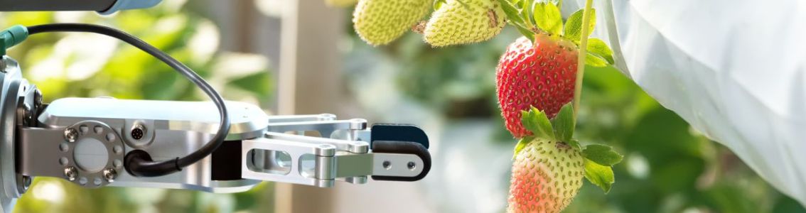 Peligros de inocuidad alimentaria