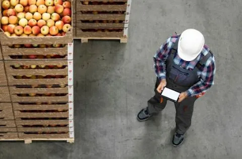 Ciberseguridad: una llamada de atención para la gestión de la industria alimentaria