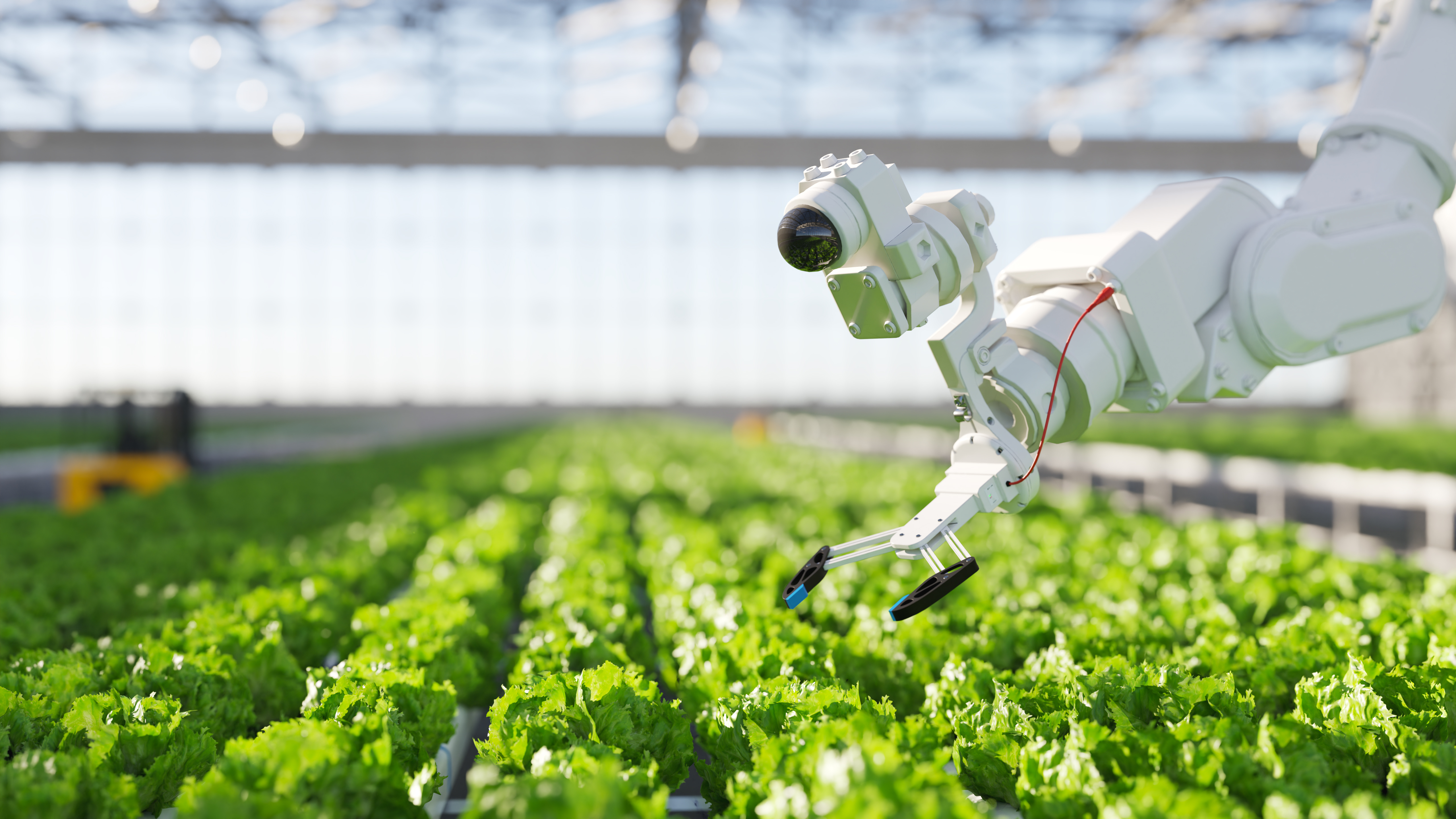 Canadian food safety and food supply chain resilience in food manufacturing