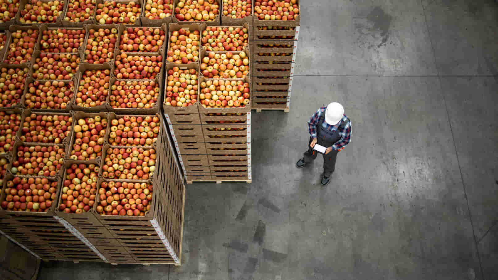 Vista superior de un trabajador de pie junto a cajas de manzanas
