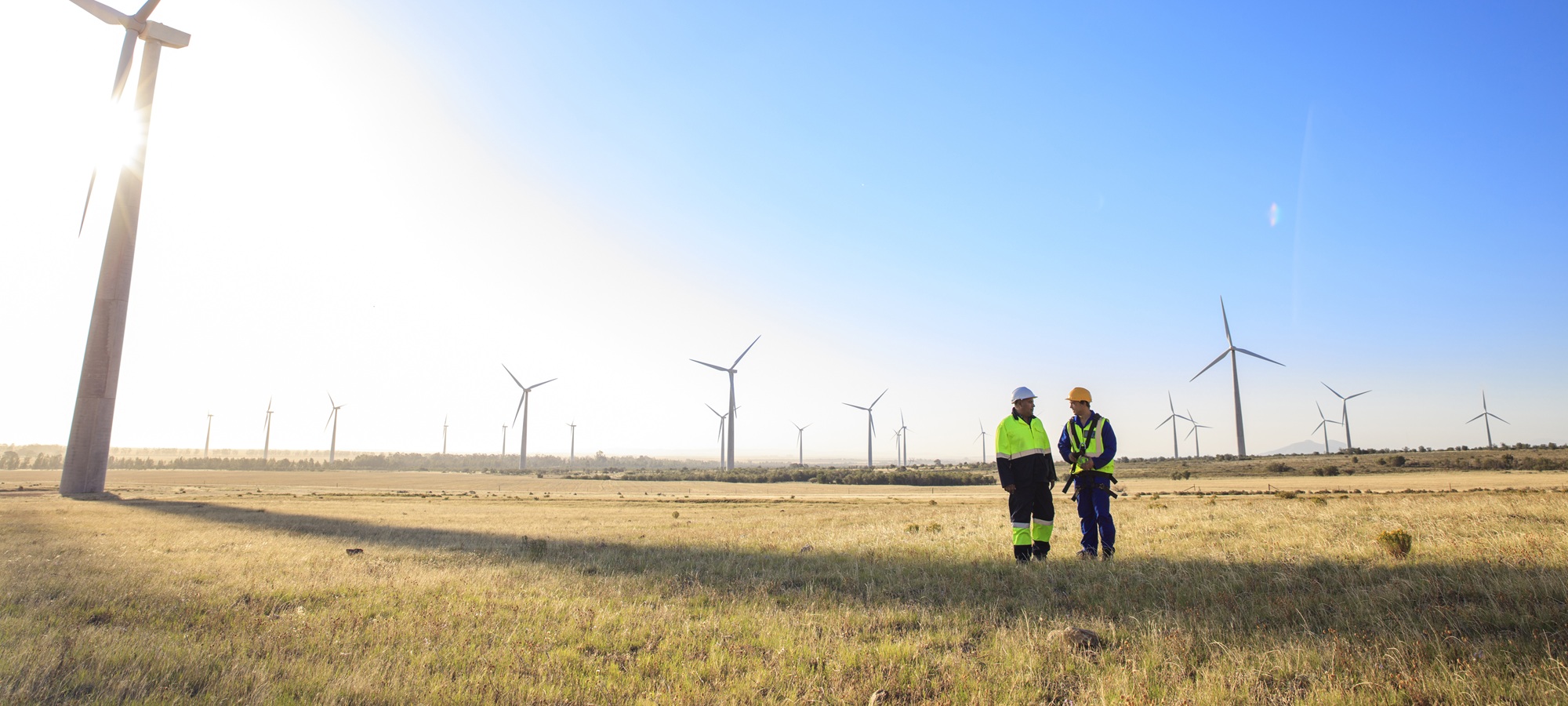 Two engineers discussing on a wind farm
