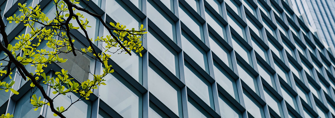 Capacitación en Medio Ambiente y Energía