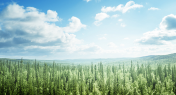 Espresso survey - Resumen de los resultados de la auditoría medioambiental