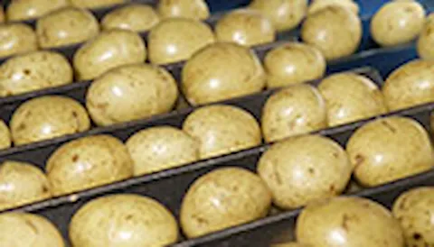 GLOBALG.A.P. IFA Plants