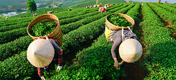 Directrices y referencias sobre derechos humanos