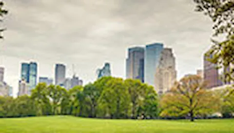 ISO 14001 - Gestión Ambiental