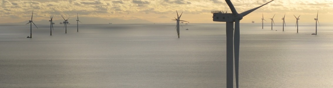 Structural health monitoring