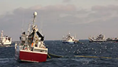 Estándar de MSC de Pesca Sostenible