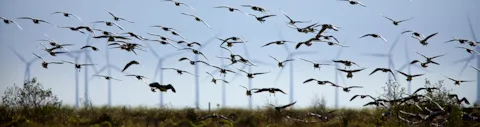 Environmental and permitting advice
