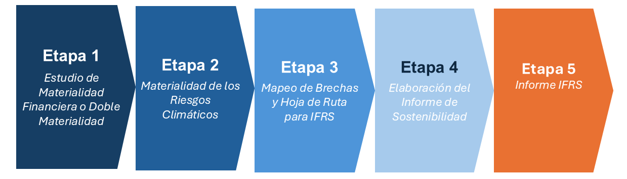 Ruta IFRS