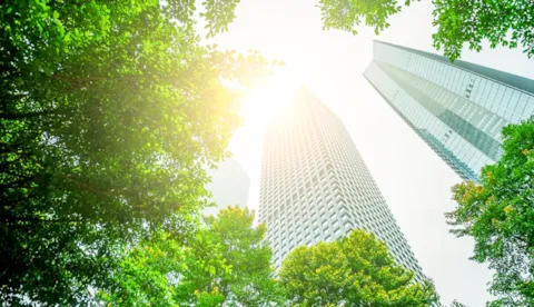 Capacitación ESG y Sostenibilidad