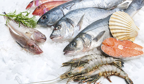Servicios para la industria de pesca Sostenible