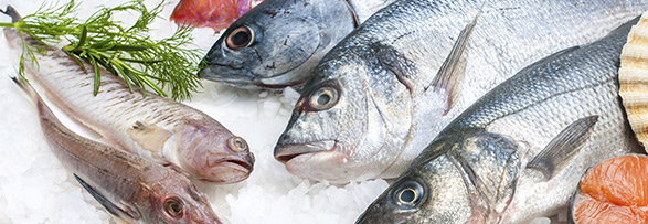 Pesca Sostenible | DNV
