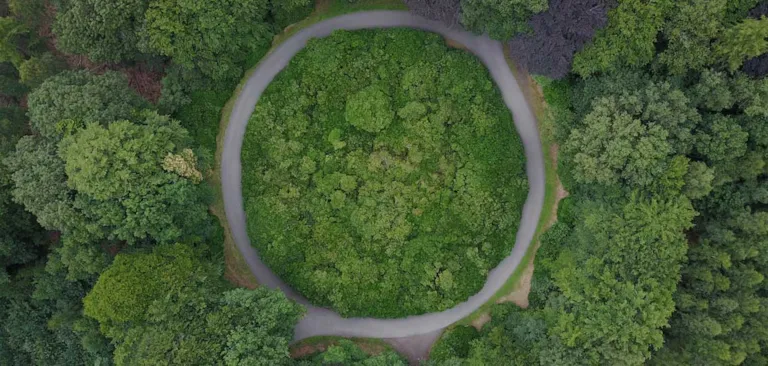 roundabout in a forest