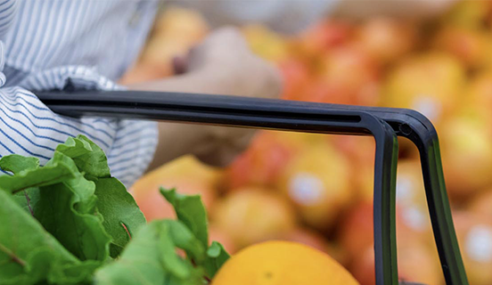 Seguridad Alimentaria: ¿Qué puede hacer para asegurar su futuro?